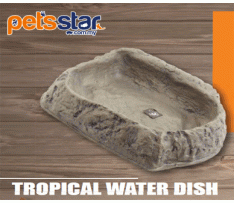Get Your Pet Right Tropical Water Dish